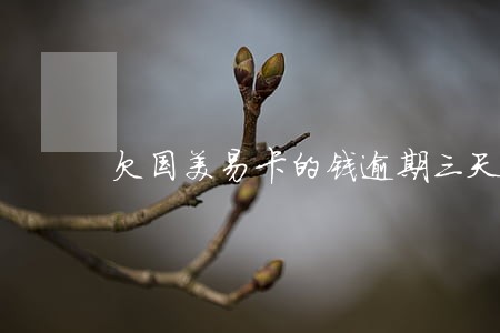 欠国美易卡的钱逾期三天 欠国美易卡的钱逾期三天