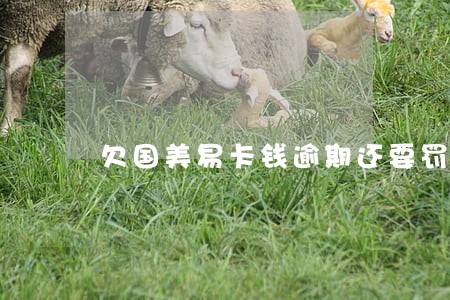 欠国美易卡钱逾期还要罚息 欠国美易卡钱逾期还要罚息