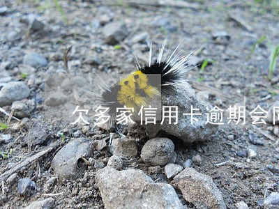 欠多家信用卡逾期会同时起诉吗 欠多家信用卡逾期会同时起诉吗
