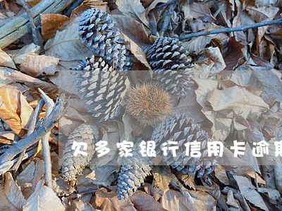 欠多家银行信用卡逾期三年
