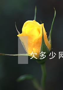欠多少网贷逾期会被起诉 欠多少网贷逾期会被起诉