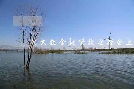 欠大数金融贷款逾期会上门吗 欠大数金融贷款逾期会上门吗