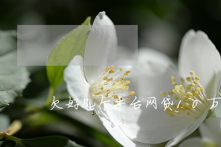 欠好几个平台网贷10万元逾期 欠好几个平台网贷10万元逾期