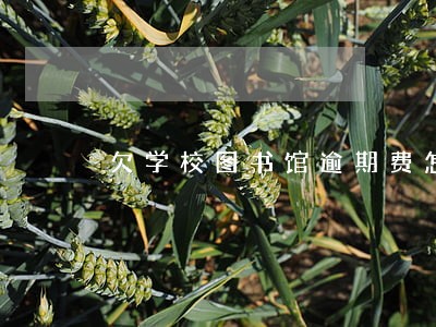 欠学校图书馆逾期费怎么办 欠学校图书馆逾期费怎么办