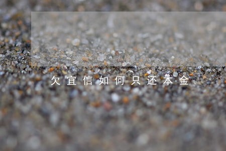 欠宜信如何只还本金 欠宜信如何只还本金