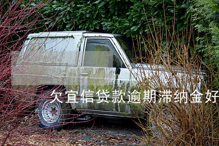 欠宜信贷款逾期滞纳金好高 欠宜信贷款逾期滞纳金好高