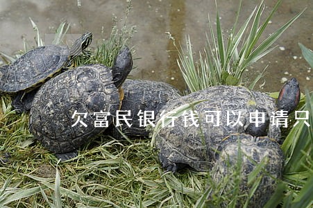 欠富民银行钱可以申请只还本金吗 欠富民银行钱可以申请只还本金吗