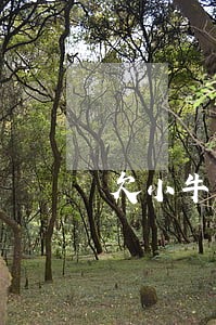 欠小牛货款1万逾期5年还多少钱 欠小牛货款1万逾期5年还多少钱