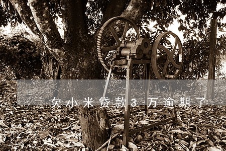 欠小米贷款3万逾期了 欠小米贷款3万逾期了