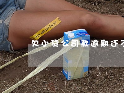 欠小贷公司款逾期还不起 欠小贷公司款逾期还不起