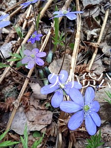 欠小贷公司逾期两三天