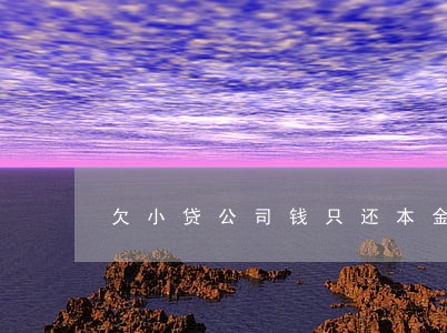 欠小贷公司钱只还本金 欠小贷公司钱只还本金