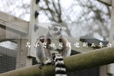 欠小贷公司钱逾期三年会怎样 欠小贷公司钱逾期三年会怎样