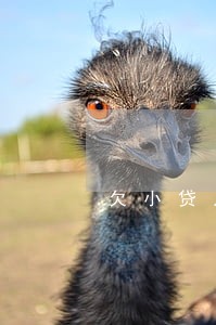 欠小贷几万逾期 欠小贷几万逾期