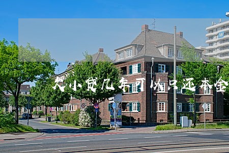 欠小贷几年可以只还本金嘛 欠小贷几年可以只还本金嘛