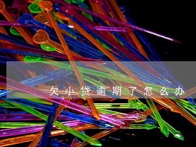 欠小贷逾期了怎么办 欠小贷逾期了怎么办