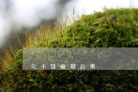 欠小贷逾期后果 欠小贷逾期后果