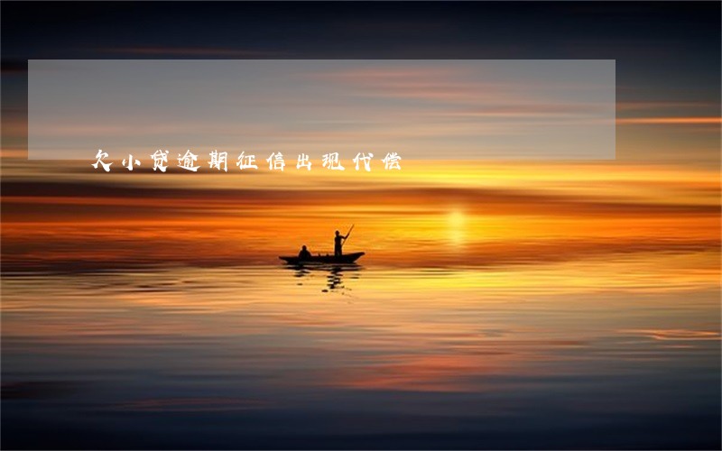 欠小贷逾期征信出现代偿