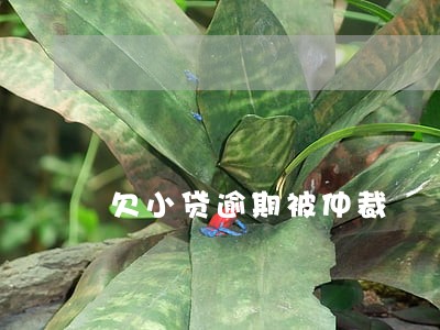 欠小贷逾期被仲裁 欠小贷逾期被仲裁