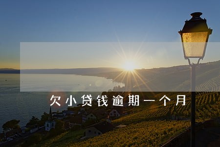欠小贷钱逾期一个月 欠小贷钱逾期一个月