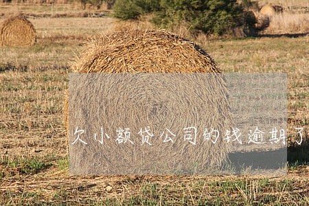 欠小额贷公司的钱逾期了 欠小额贷公司的钱逾期了