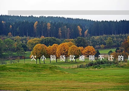 欠小额贷款逾期不还的后果 欠小额贷款逾期不还的后果