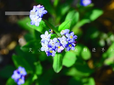 欠小额贷款逾期还不上怎么办 欠小额贷款逾期还不上怎么办
