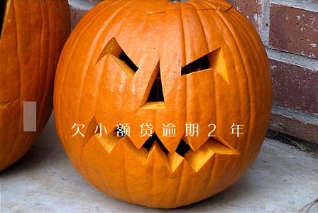 欠小额贷逾期2年 欠小额贷逾期2年