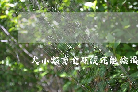欠小额贷逾期没还能按揭买车吗 欠小额贷逾期没还能按揭买车吗