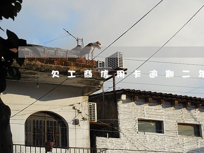 欠工商信用卡逾期二年变不良资产