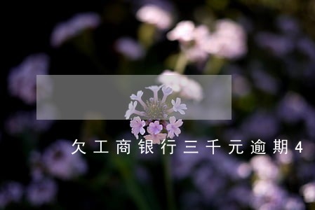 欠工商银行三千元逾期47个月 欠工商银行三千元逾期47个月