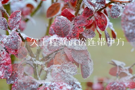 欠工程款诉讼连带甲方 欠工程款诉讼连带甲方
