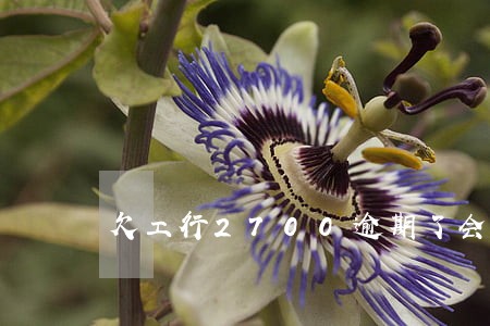 欠工行2700逾期了会坐牢吗 欠工行2700逾期了会坐牢吗