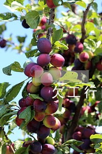 欠工行两万逾期两年可以协商吗 欠工行两万逾期两年可以协商吗