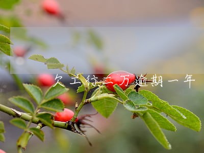 欠工行二万逾期一年 欠工行二万逾期一年