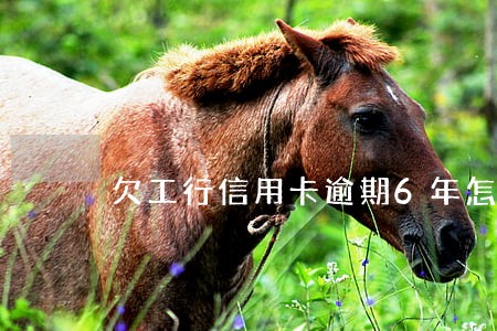 欠工行信用卡逾期6年怎么解决 欠工行信用卡逾期6年怎么解决