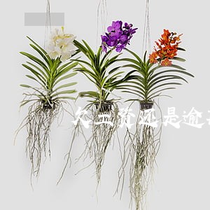 欠工资还是逾期一年怎么办 欠工资还是逾期一年怎么办
