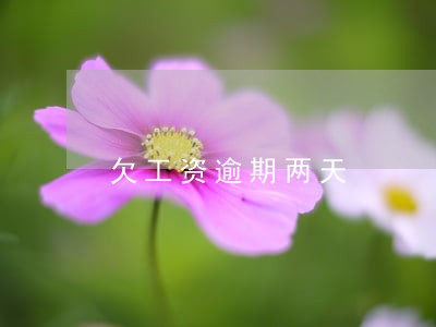 欠工资逾期两天 欠工资逾期两天