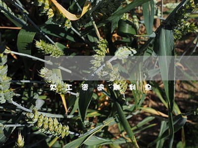 欠工资逾期利息