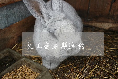 欠工资逾期违约