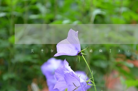欠平台134逾期了311天 欠平台134逾期了311天