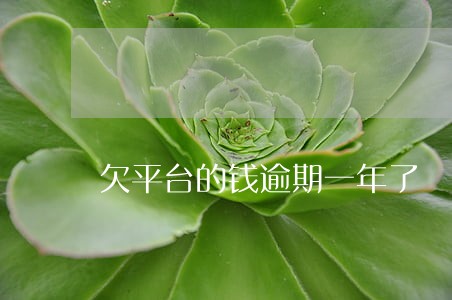 欠平台的钱逾期一年了 欠平台的钱逾期一年了