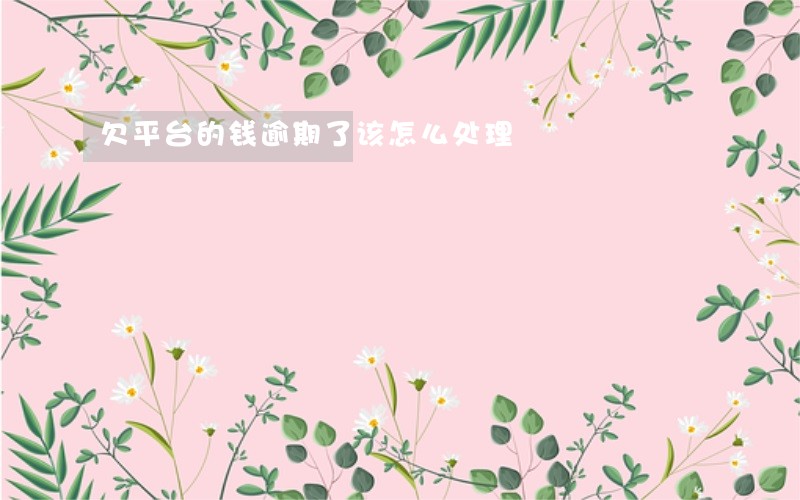 欠平台的钱逾期了该怎么处理 欠平台的钱逾期了该怎么处理
