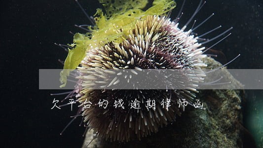 欠平台的钱逾期律师函