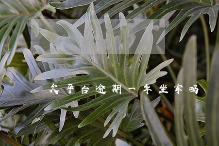欠平台逾期一年坐牢吗 欠平台逾期一年坐牢吗