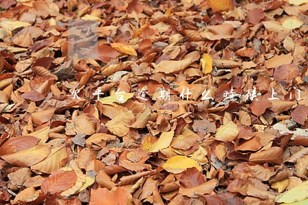 欠平台逾期什么时候上门 欠平台逾期什么时候上门