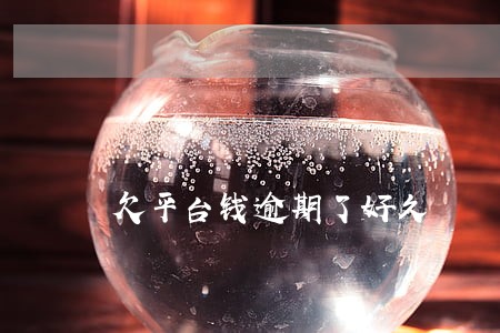 欠平台钱逾期了好久 欠平台钱逾期了好久
