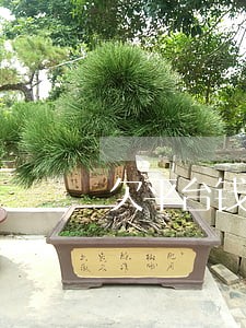 欠平台钱逾期会上征信吗 欠平台钱逾期会上征信吗