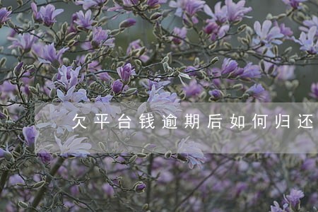 欠平台钱逾期后如何归还 欠平台钱逾期后如何归还