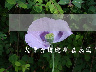 欠平台钱逾期后来还了 欠平台钱逾期后来还了